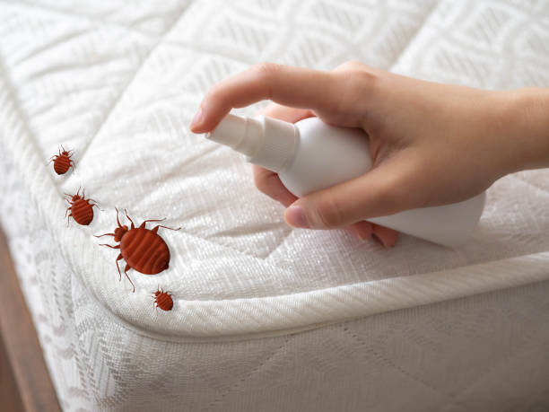 Emergency Pest Control in Bude, MS